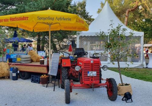 Mobiliar und Non-Food von BELUTION